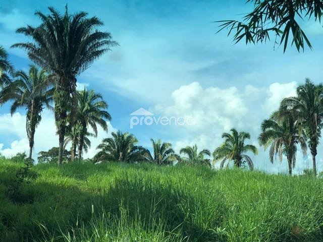 Foto do Fazenda - FAZENDA Á VENDA DE 20 ALQUEIRES EM PIRES DO RIO - GO | Provenda Imobiliária