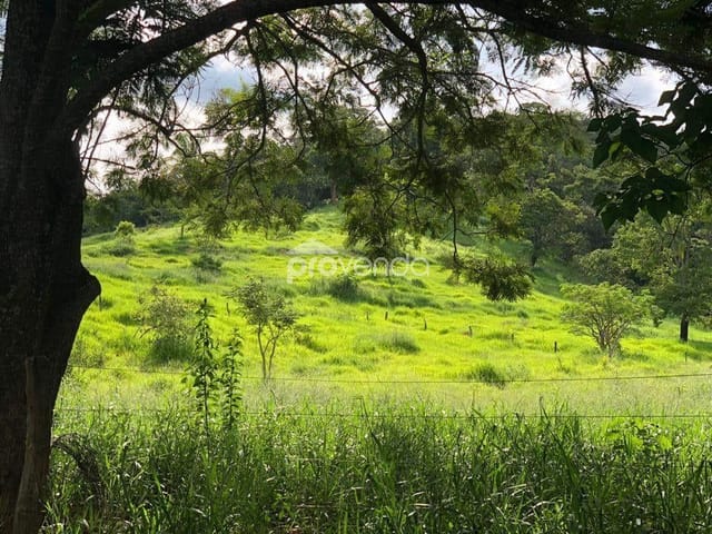 Foto do Fazenda - FAZENDA Á VENDA DE 20 ALQUEIRES EM PIRES DO RIO - GO | Provenda Imobiliária