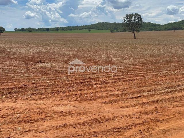 Foto do Fazenda - FAZENDA Á VENDA DE 43 ALQUEIRES - JANDAIA - GO | Provenda Imobiliária