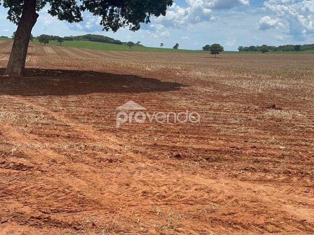 Foto do Fazenda - FAZENDA Á VENDA DE 43 ALQUEIRES - JANDAIA - GO | Provenda Imobiliária