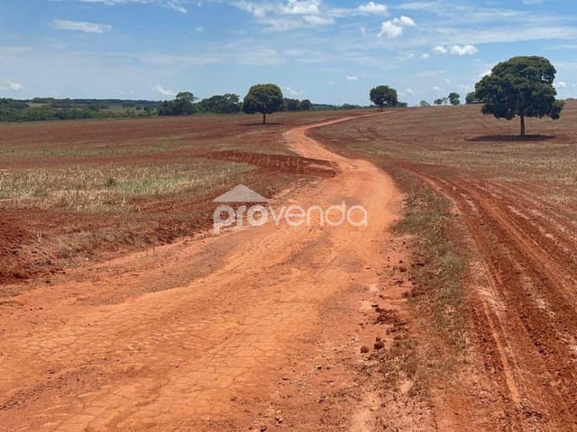 Foto do Fazenda - FAZENDA Á VENDA DE 43 ALQUEIRES - JANDAIA - GO | Provenda Imobiliária