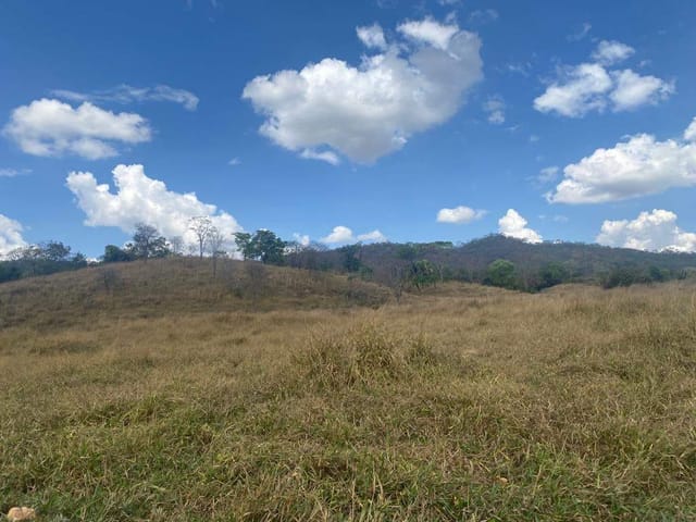 Foto do Fazenda - FAZENDA COM 3 CASAS - 105 ALQUEIRES - SANTA CRUZ DE GOIÁS/GO | Provenda Imobiliária