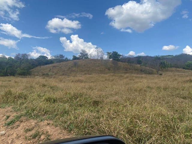 Foto do Fazenda - FAZENDA COM 3 CASAS - 105 ALQUEIRES - SANTA CRUZ DE GOIÁS/GO | Provenda Imobiliária