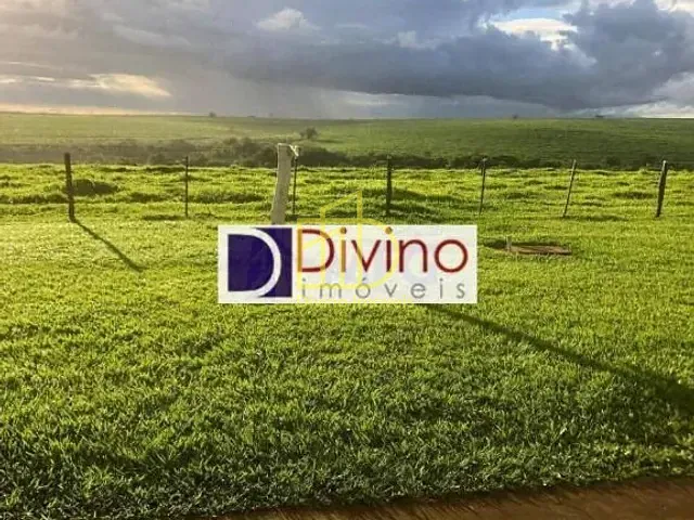 Fazenda com 28894800m² 1 quarto e 1 banheiro, à venda, no bairro Jardim Esmeralda em Pompéia