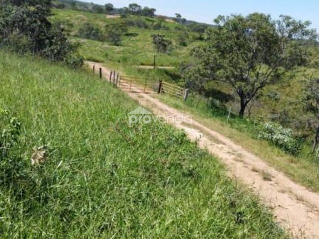 Foto do Fazenda - FAZENDA Á VENDA DE 40 ALQUEIRE EM SÃO MIGUEL DO PASSA QUATRO GOIÁS | Provenda Imobiliária