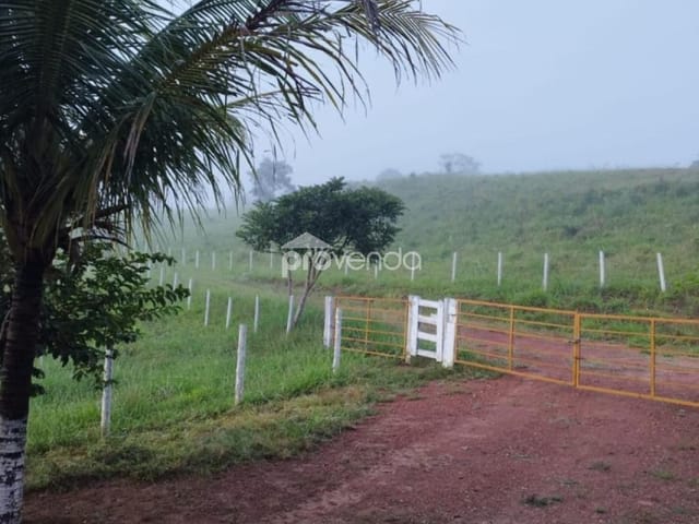 Foto do Fazenda - FAZENDA Á VENDA DE 40 ALQUEIRE EM SÃO MIGUEL DO PASSA QUATRO GOIÁS | Provenda Imobiliária