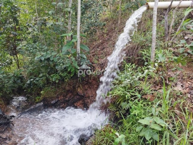 Foto do Fazenda - FAZENDA Á VENDA DE 40 ALQUEIRE EM SÃO MIGUEL DO PASSA QUATRO GOIÁS | Provenda Imobiliária