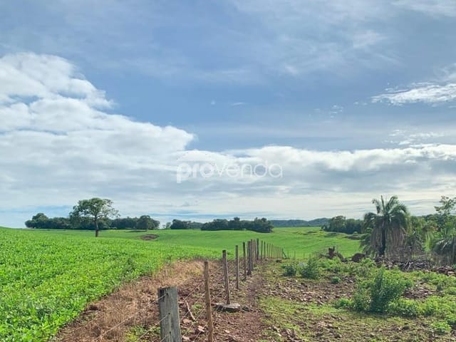 Foto do Fazenda - FAZENDA Á VENDA DE 27 ALQUEIRE EM JANDAIA GOIAS | Provenda Imobiliária