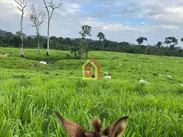 Fazenda com 100m² 1 quarto e 1 banheiro, à venda, no bairro Zona Rural em Novo Repartimento