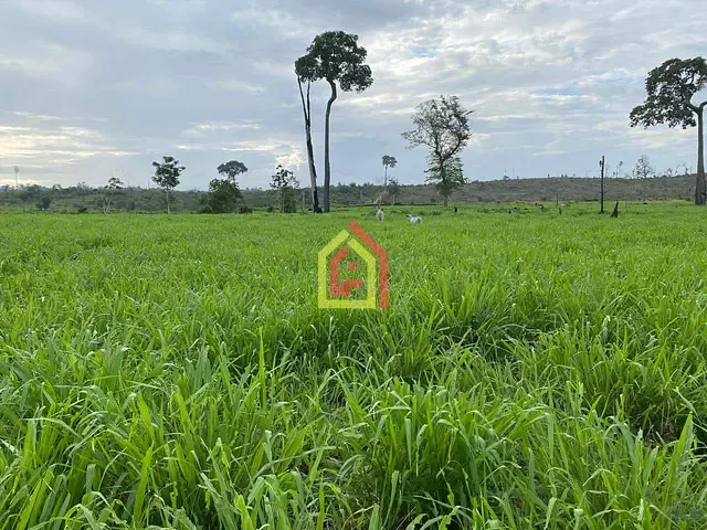 Fazenda com 100m² 1 quarto e 1 banheiro, à venda, no bairro Zona Rural em Novo Repartimento