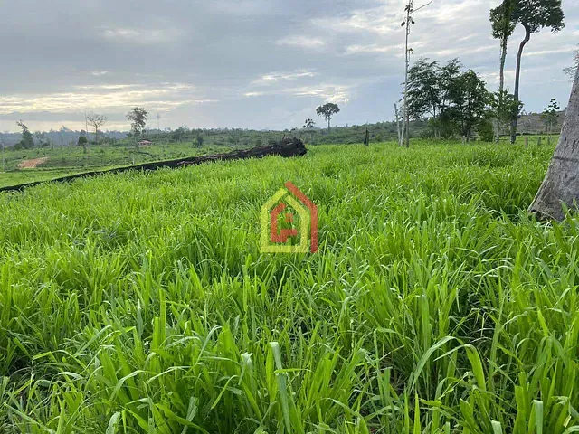 Fazenda com 100m² 1 quarto e 1 banheiro, à venda, no bairro Zona Rural em Novo Repartimento