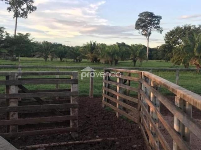 Foto do Fazenda - FAZENDA Á VENDA DE 1.611,98 ALQUEIRE EM BRITÂNIA GOIÁS | Provenda Imobiliária