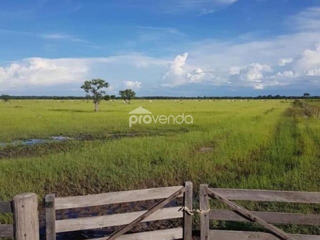 Foto do Fazenda - FAZENDA Á VENDA DE 1.611,98 ALQUEIRE EM BRITÂNIA GOIÁS | Provenda Imobiliária