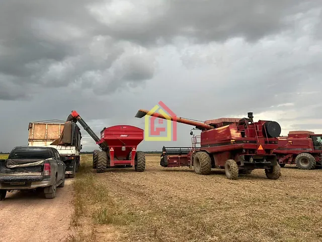 Fazenda com 1m² 1 quarto e 1 banheiro, à venda, no bairro Zona Rural em Tailândia