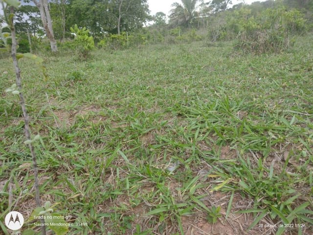Foto do Fazenda - FAZENDA Á VENDA DE 38 ALQUEIRES EM CALDAS NOVAS GOIÁS | Provenda Imobiliária