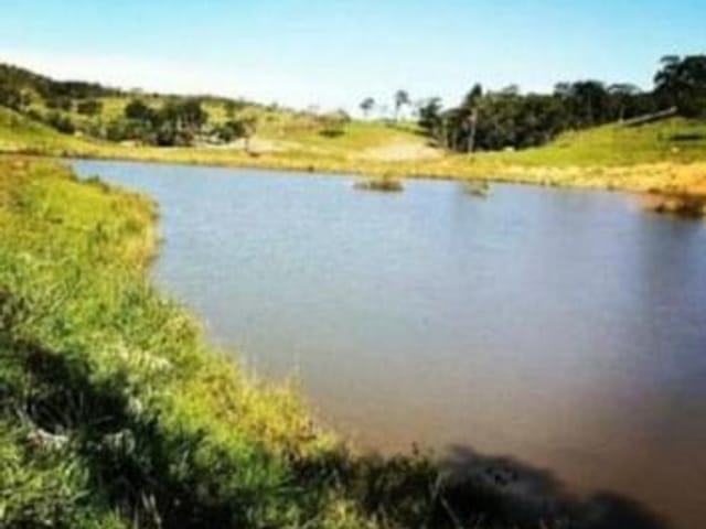 Foto do Fazenda - FAZENDA Á VENDA DE 38 ALQUEIRES EM CALDAS NOVAS GOIÁS | Provenda Imobiliária