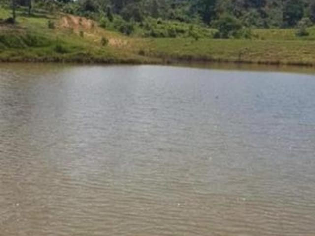 Foto do Fazenda - FAZENDA Á VENDA DE 38 ALQUEIRES EM CALDAS NOVAS GOIÁS | Provenda Imobiliária