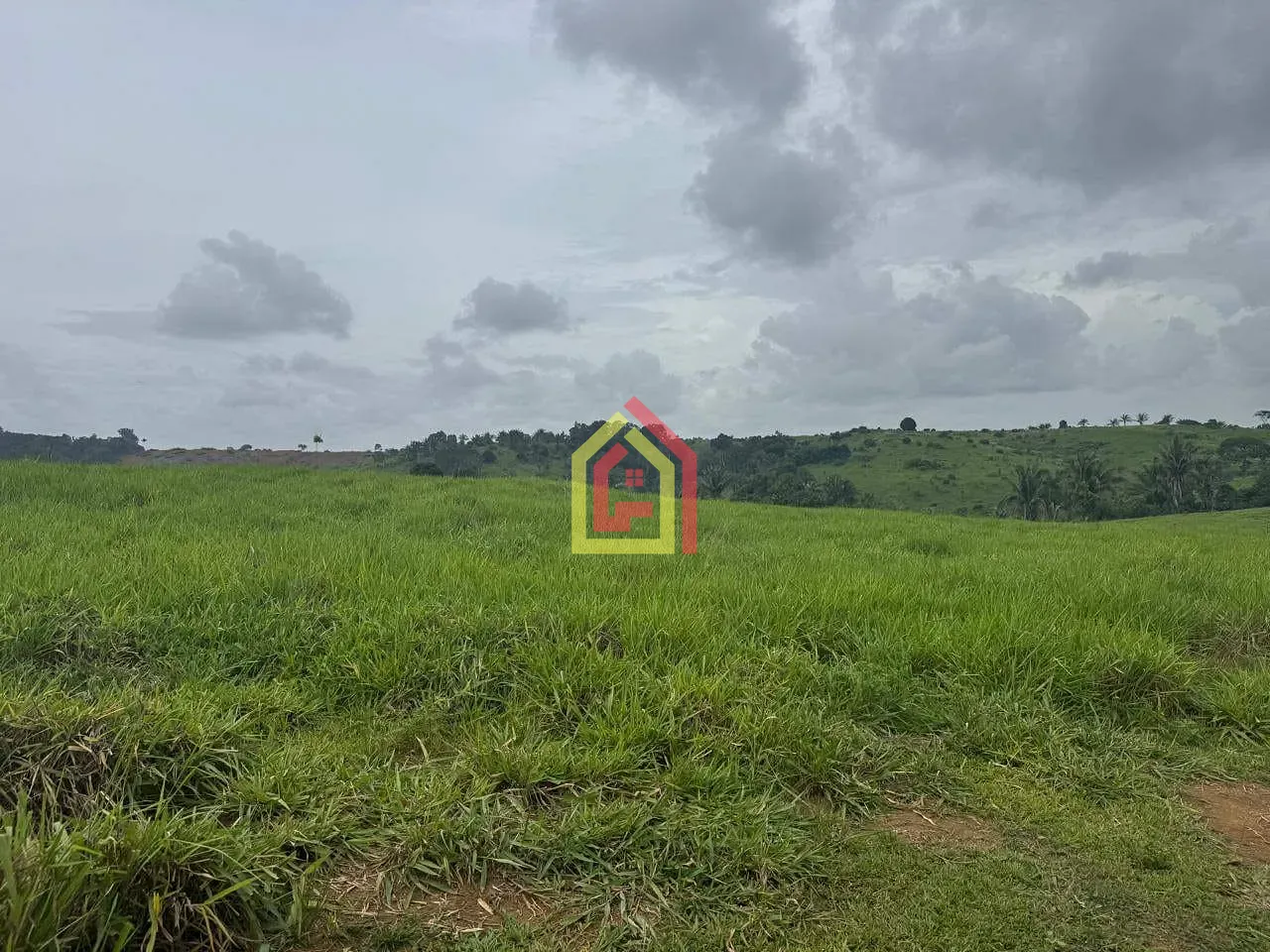 Rural à venda com 7453600m² de terreno no Itupiranga, Marabá (PA) — foto 4 de 13