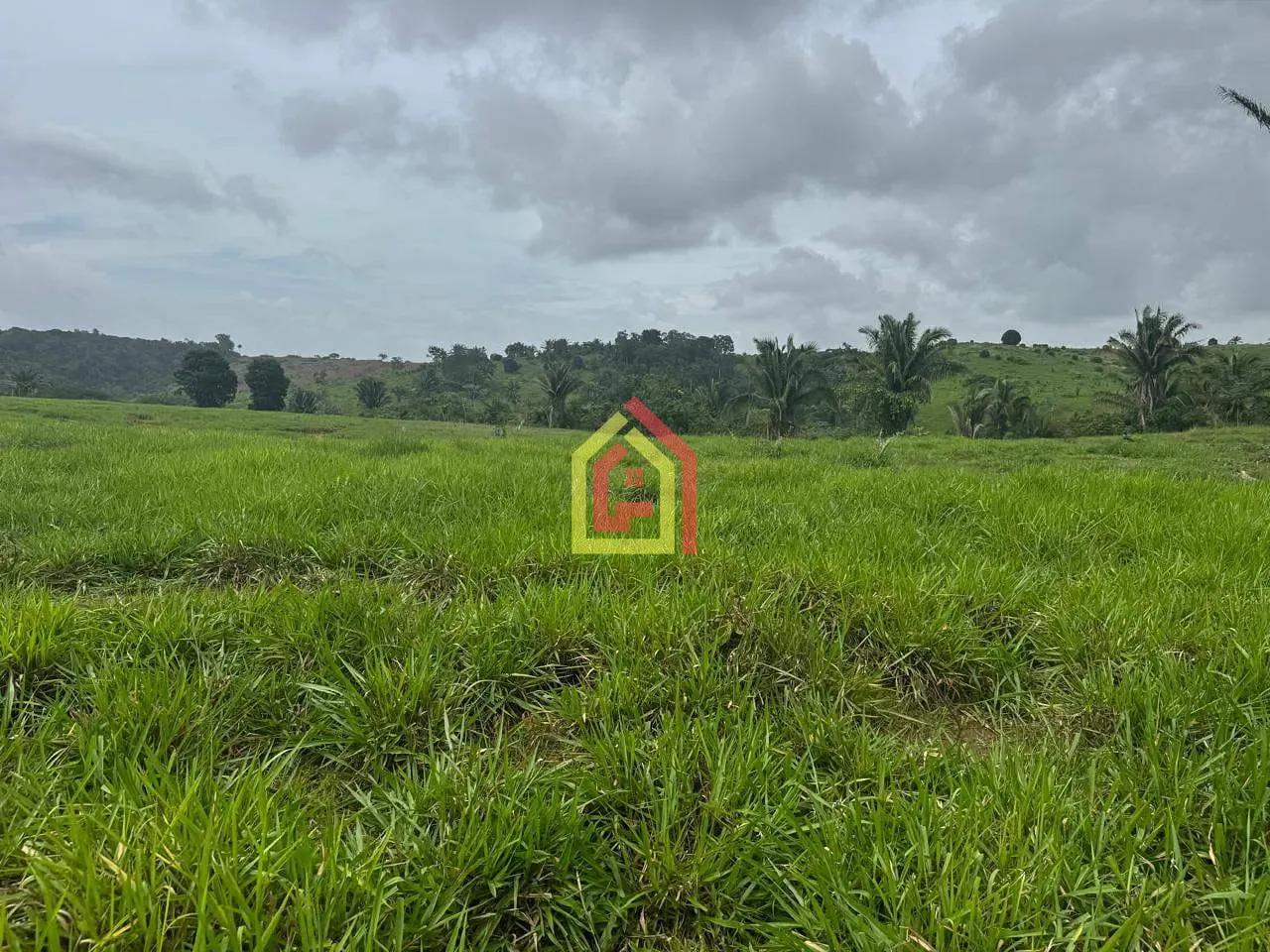 Rural à venda com 7453600m² de terreno no Itupiranga, Marabá (PA) — foto 6 de 13