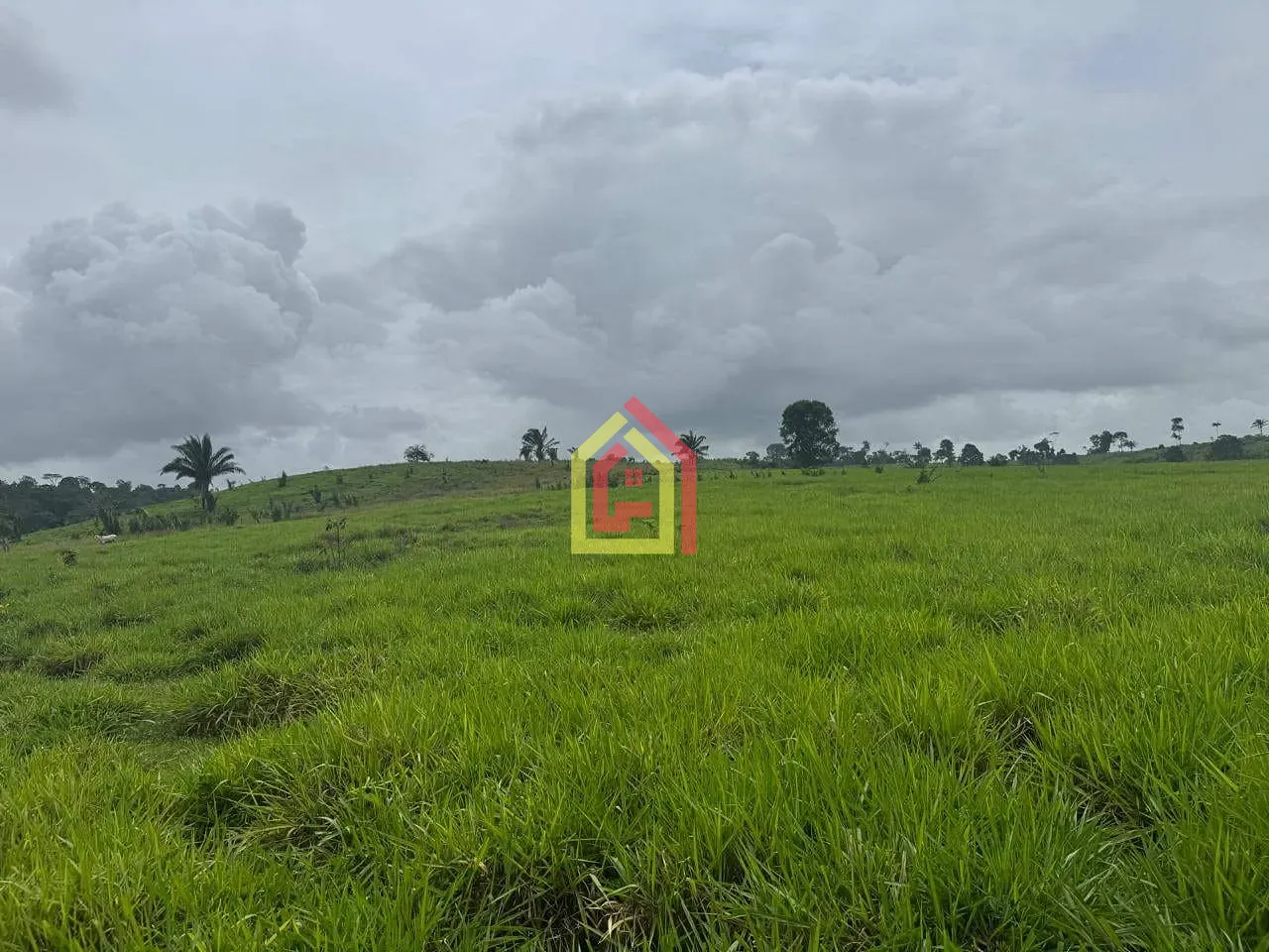 Rural à venda com 7453600m² de terreno no Itupiranga, Marabá (PA) — foto 8 de 13