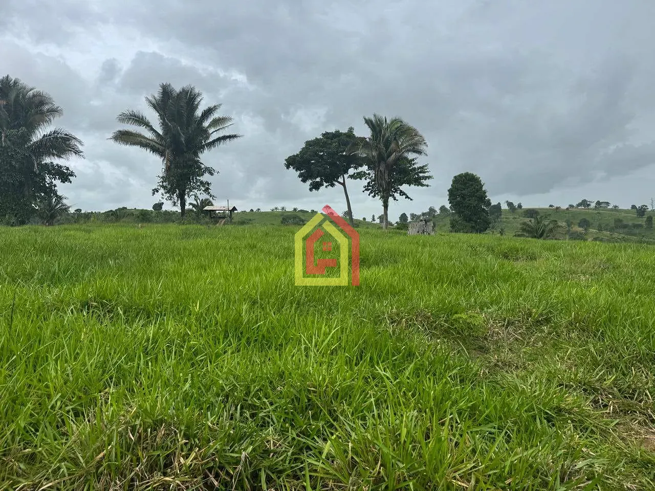Rural à venda com 7453600m² de terreno no Itupiranga, Marabá (PA) — foto 9 de 13