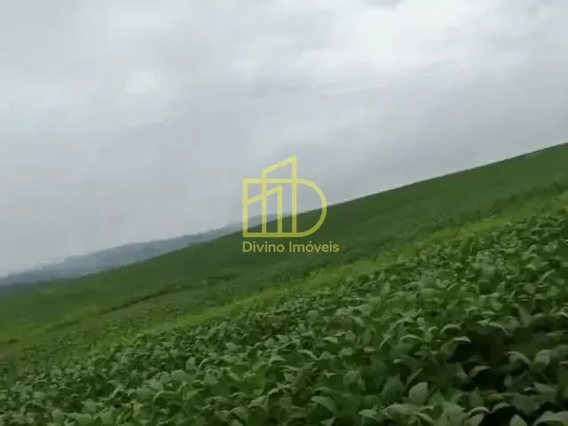 Fazenda com 1185800m², à venda, no bairro Área Rural em Itapetininga