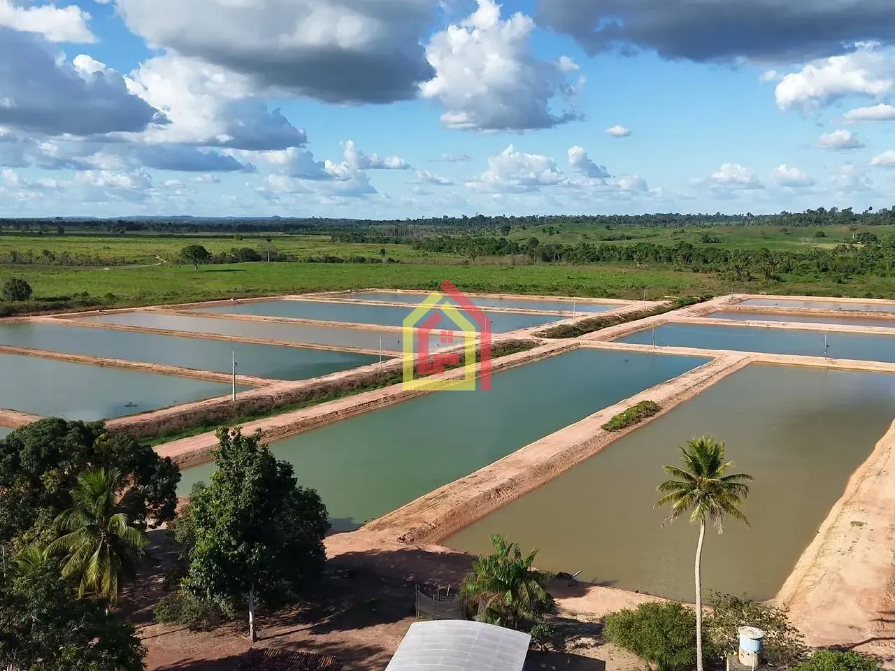 Rural à venda com 100000m² de terreno no Zona Rural, Bom Jesus do Tocantins (PA) — foto 9 de 20