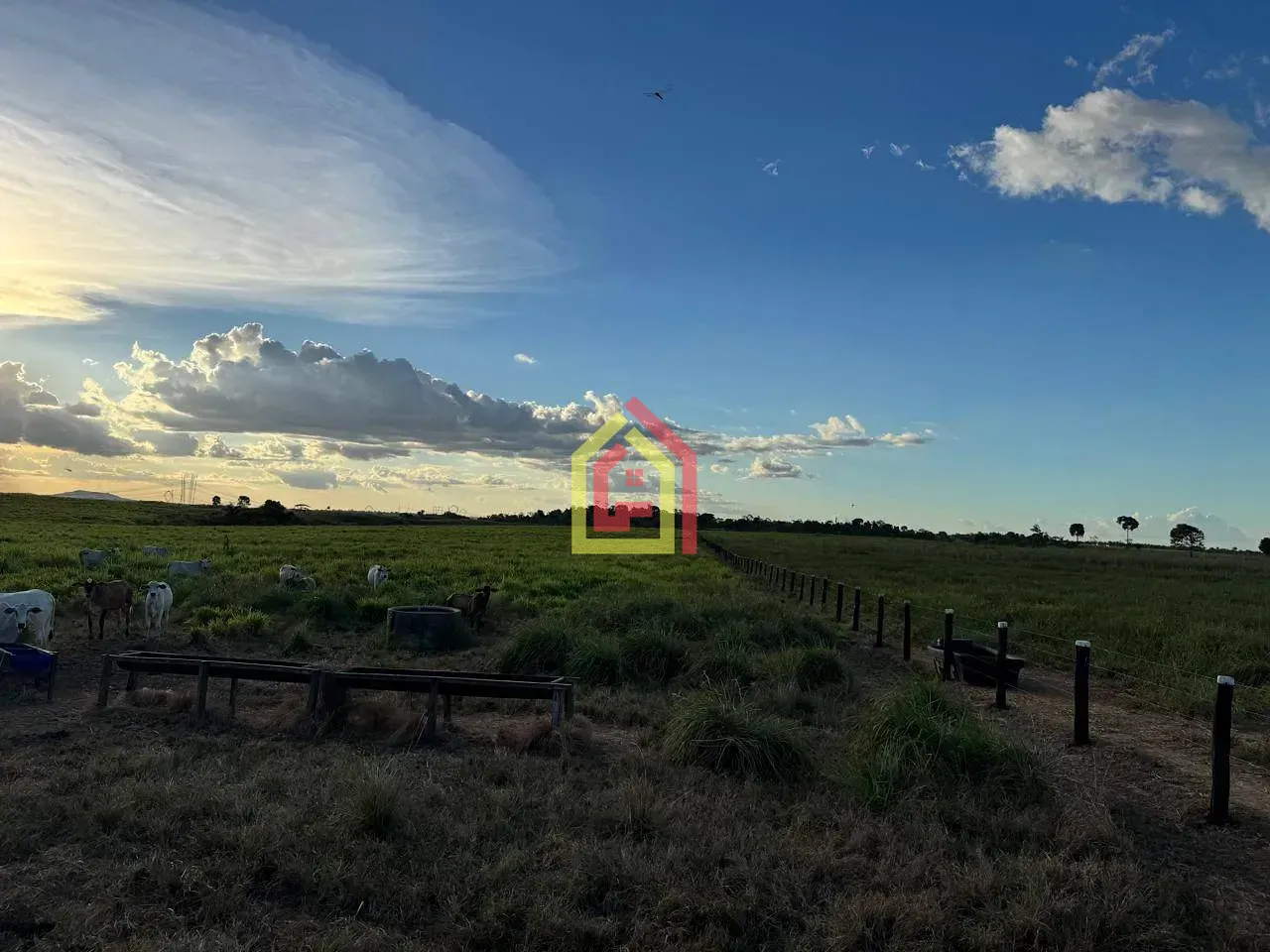 Rural à venda com 100000m² de terreno no Zona Rural, Bom Jesus do Tocantins (PA) — foto 14 de 20
