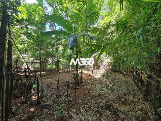 Foto do Fazenda - CHÁCARA COM CASA TÉRREA  - 3 QUARTOS (1 SUÍTE) ÁREA 2.514m² - PARQUE DAS NAÇÕES -  APARECIDA DE GOIÂ | Provenda Imobiliária