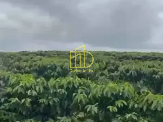Fazenda com 2008600m², à venda, no bairro Zona Rural em Piumhi