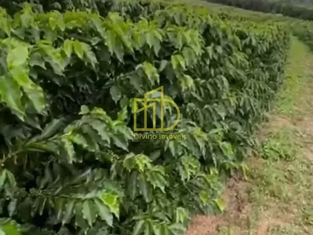 Fazenda com 2008600m², à venda, no bairro Zona Rural em Piumhi