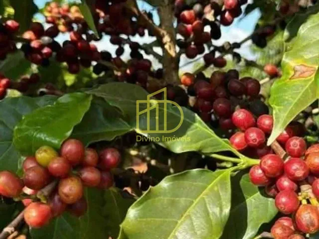 Fazenda com 2008600m², à venda, no bairro Zona Rural em Piumhi