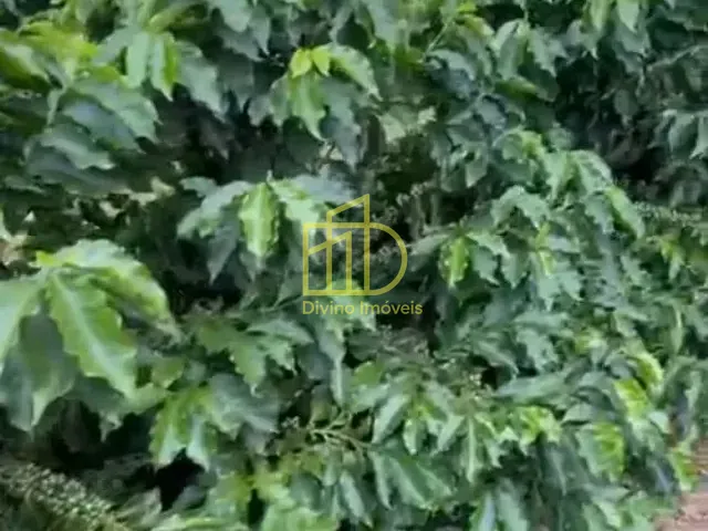 Fazenda com 2008600m², à venda, no bairro Zona Rural em Piumhi