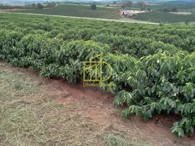 Fazenda com 500000m², à venda, no bairro Carmo Da Cachoeira em Carmo da Cachoeira