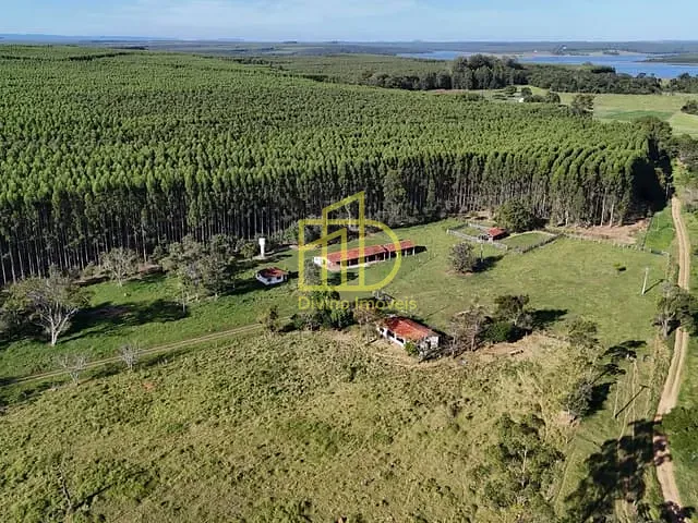 Fazenda com 3581600m², à venda, no bairro Área Rural de Paranapanema em Paranapanema