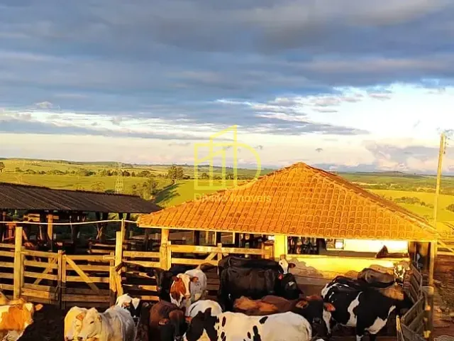 Fazenda com 1936000m², à venda, no bairro Área Rural de São Miguel Arcanjo em São Miguel Arcanjo
