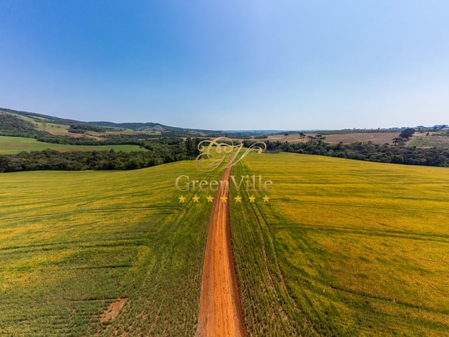 Foto do Fazenda - Tibagi, surpreendente plantando 100 hectares, quase 100%, poço artesiano, cachoeira, à venda, Zona Rural, PR | Imobiliária GreenVille