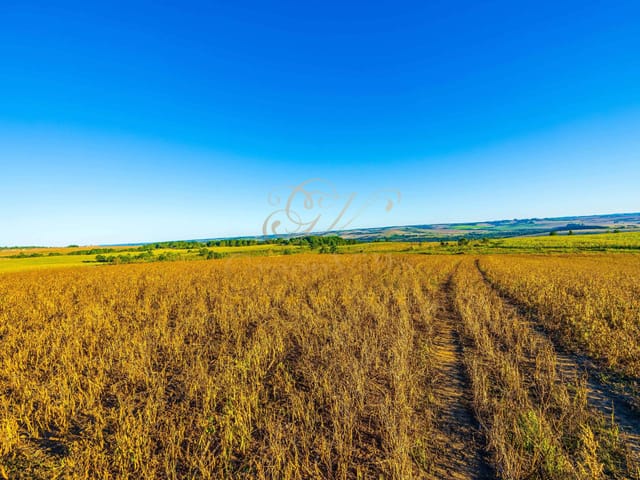 Fazenda com 450000m² 1 quarto e 1 banheiro, à venda, no bairro Colônia Dona Luíza em Ponta Grossa