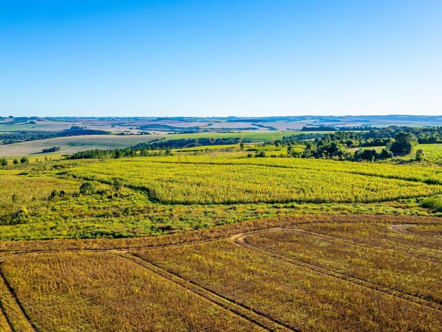 Fazenda com 450000m² 1 quarto e 1 banheiro, à venda, no bairro Colônia Dona Luíza em Ponta Grossa