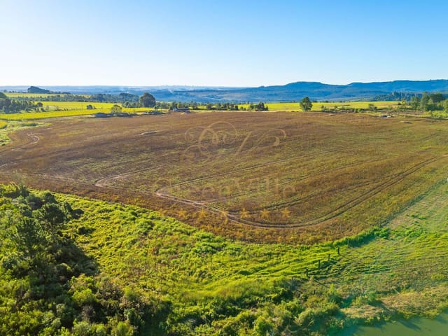 Fazenda com 300000m² 1 quarto e 1 banheiro, à venda, no bairro Colônia Dona Luíza em Ponta Grossa