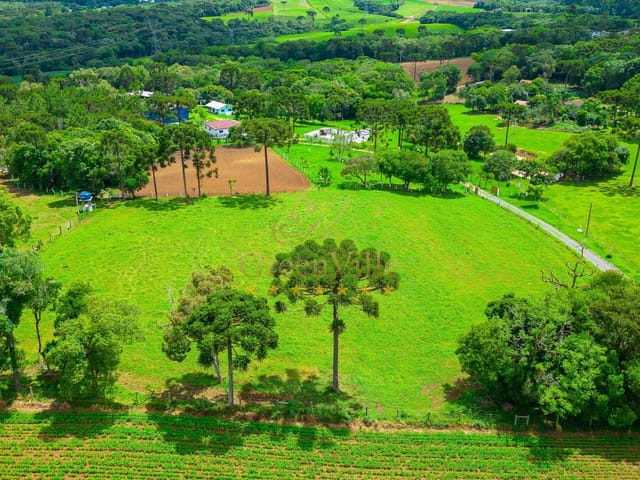 Foto do Fazenda - Lapa, Fazendinha ou Haras, 8 alqueires ou 19,36 hectares, casa sede, piscina, mina, à venda, Água Azul, PR | Imobiliária GreenVille