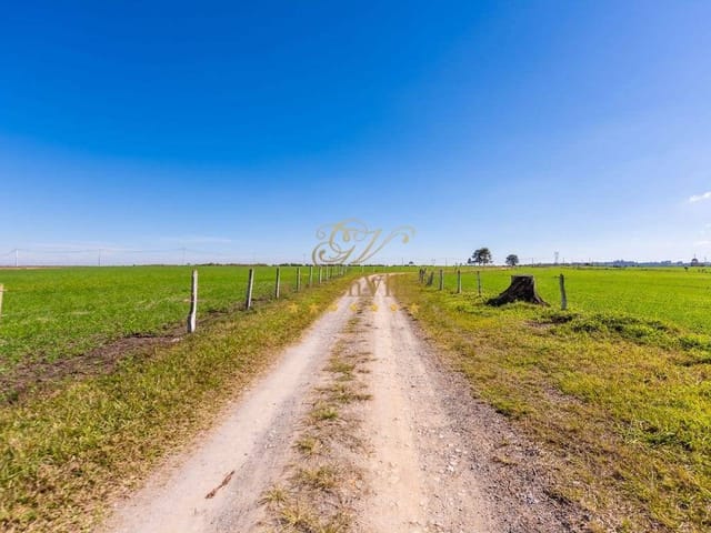 Fazenda com 2420000m² 4 quartos e 4 banheiros, à venda, no bairro Zona Rural em Palmeira