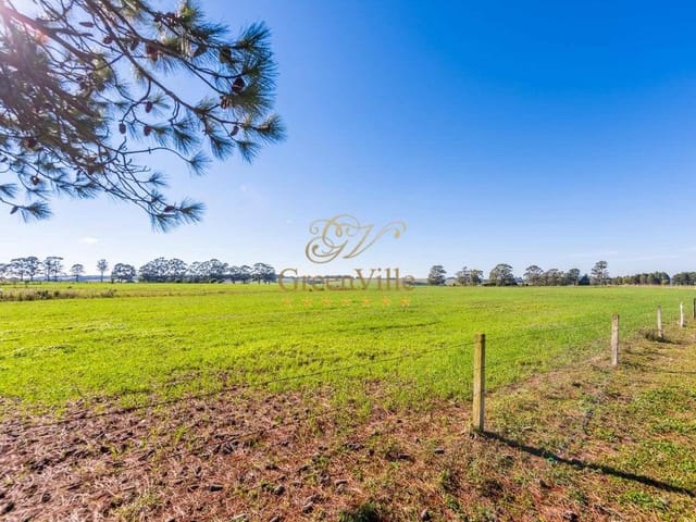 Fazenda com 2420000m² 4 quartos e 4 banheiros, à venda, no bairro Zona Rural em Palmeira