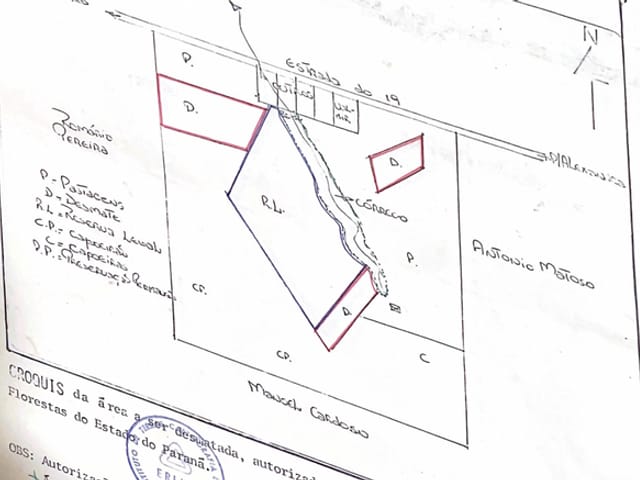 Fazenda com 290000m² 3 quartos e 4 banheiros, à venda, no bairro Alexandra em Alexandra