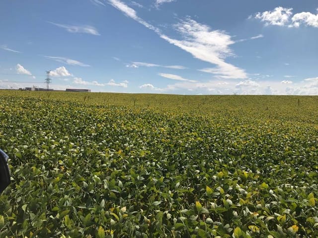 Fazenda com 2662000m² 1 quarto e 1 banheiro, à venda, no bairro Zona Rural em Porto Amazonas