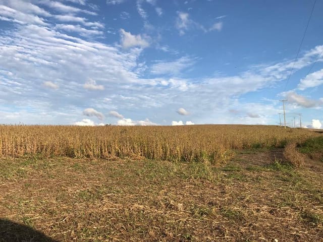 Fazenda com 3896200m² 4 quartos e 5 banheiros, à venda, no bairro Zona Rural em Porto Amazonas