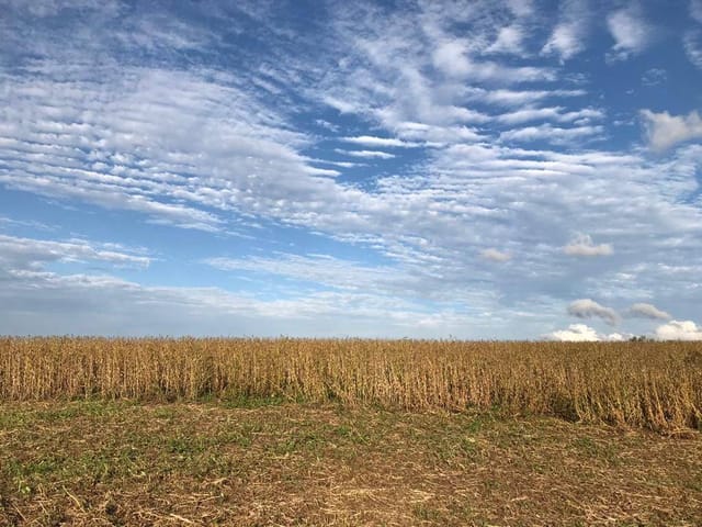 Fazenda com 3896200m² 4 quartos e 5 banheiros, à venda, no bairro Zona Rural em Porto Amazonas