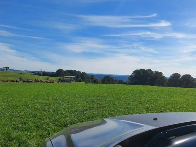 Fazenda com 1200000m² 1 quarto e 1 banheiro, à venda, no bairro Zona Rural em Lapa