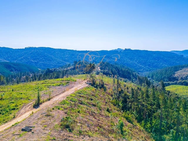 Fazenda com 2693786m² 1 quarto e 1 banheiro, à venda, no bairro Centro em Campo Largo