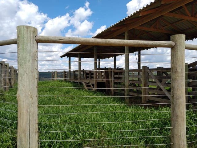 Foto do Fazenda - Lapa, Fazenda 42 alqueires ou 101,64 hectares, um talhão, Plantando 30 alqueires, à venda, Zona Rural, PR | Imobiliária GreenVille